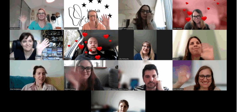 Pictured is a screen shot of participants in the final seminar of the international trainers trainer training.